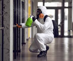 Mold Remediation for Rental Properties in Shelbyville, IL